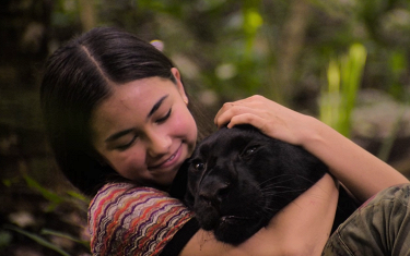 Жапондық резеңке қуыршақпен жыныстық қатынас